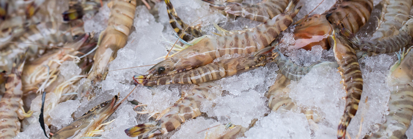 水產(chǎn)品測(cè)試